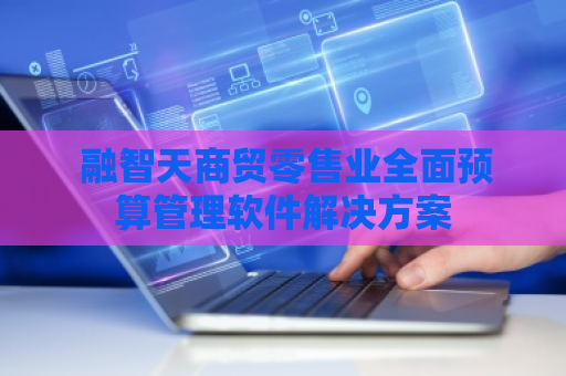 融智天商贸零售业全面预算管理软件解决方案