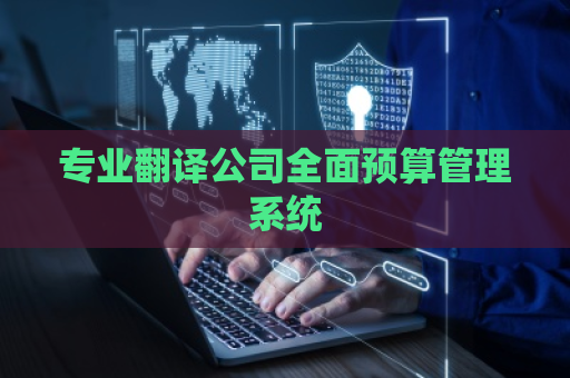 专业翻译公司全面预算管理系统
