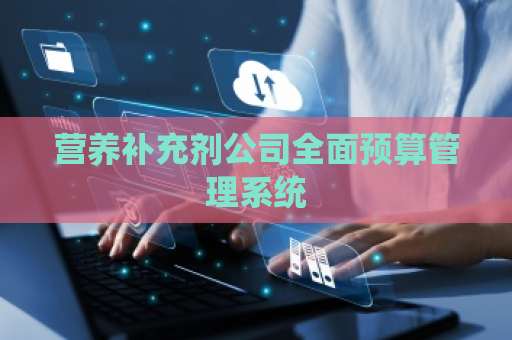 营养补充剂公司全面预算管理系统