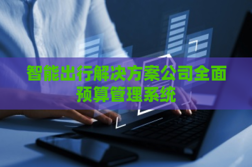 智能出行解决方案公司全面预算管理系统