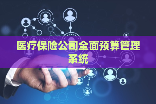 医疗保险公司全面预算管理系统