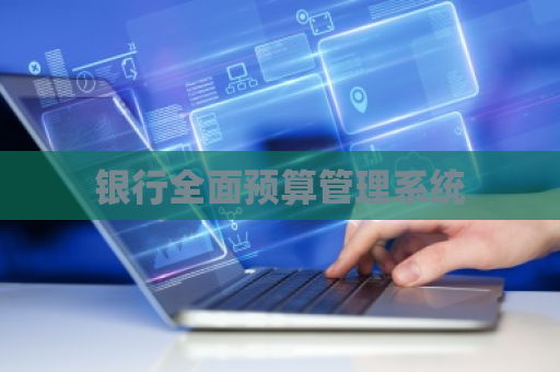 银行全面预算管理系统