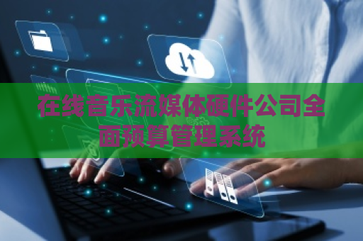 在线音乐流媒体硬件公司全面预算管理系统