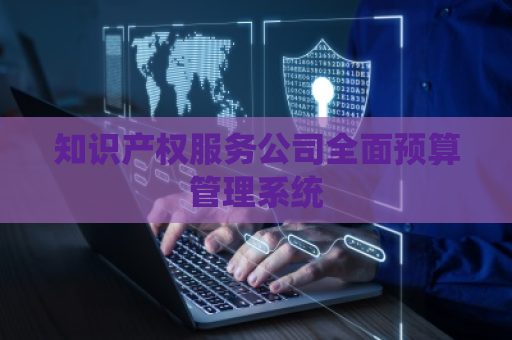 知识产权服务公司全面预算管理系统