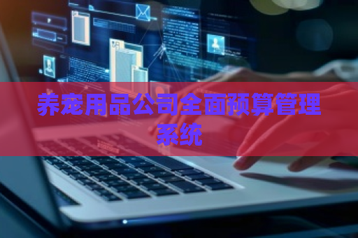 养宠用品公司全面预算管理系统