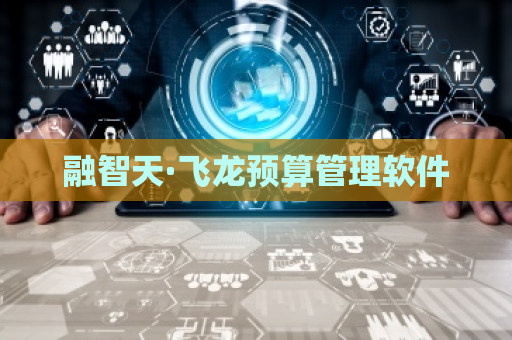 融智天·飞龙预算管理软件