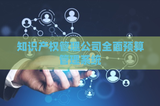 知识产权管理公司全面预算管理系统