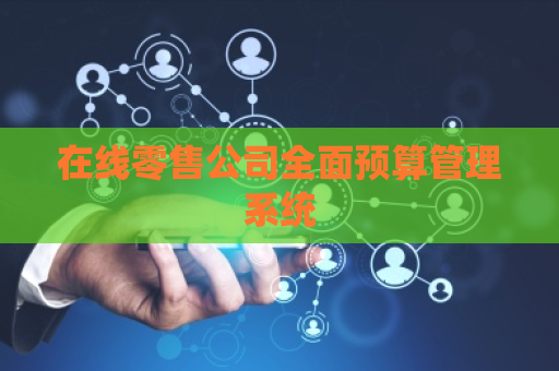 在线零售公司全面预算管理系统