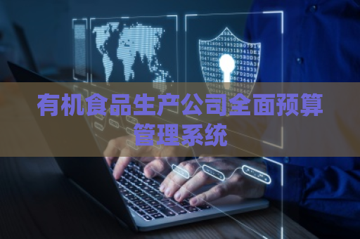 有机食品生产公司全面预算管理系统