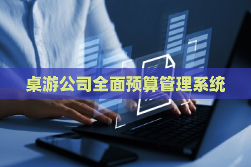 桌游公司全面预算管理系统