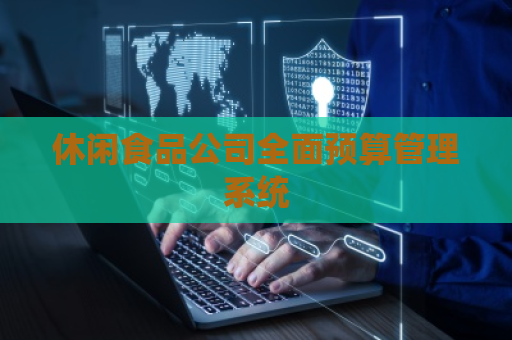 休闲食品公司全面预算管理系统