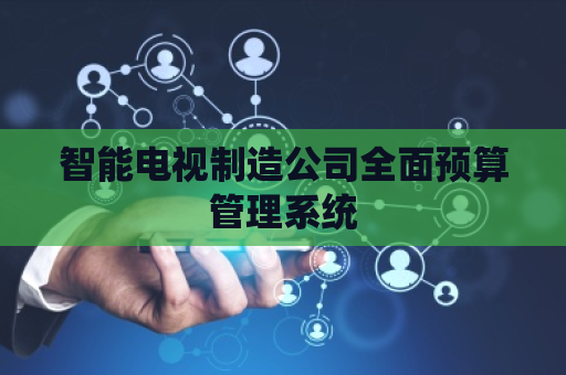智能电视制造公司全面预算管理系统