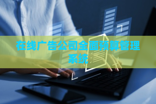 在线广告公司全面预算管理系统