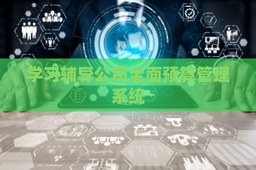 学习辅导公司全面预算管理系统