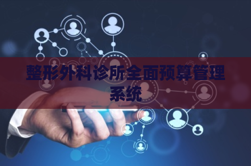 整形外科诊所全面预算管理系统