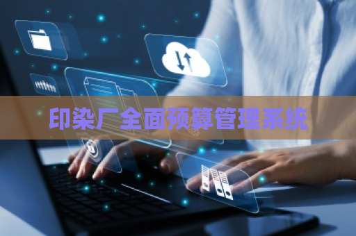 印染厂全面预算管理系统