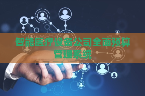 智能医疗设备公司全面预算管理系统