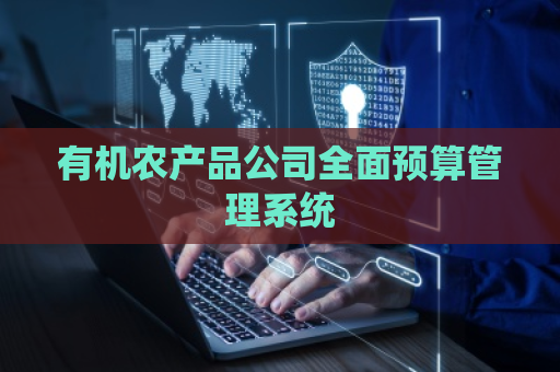 有机农产品公司全面预算管理系统
