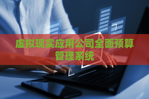 虚拟现实应用公司全面预算管理系统
