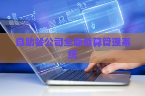 自助餐公司全面预算管理系统