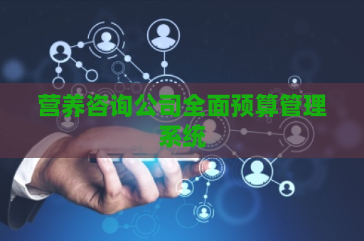 营养咨询公司全面预算管理系统