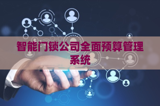 智能门锁公司全面预算管理系统