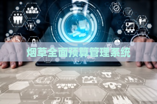 烟草全面预算管理系统