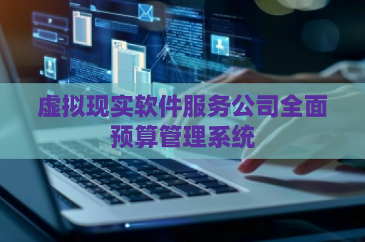 虚拟现实软件服务公司全面预算管理系统