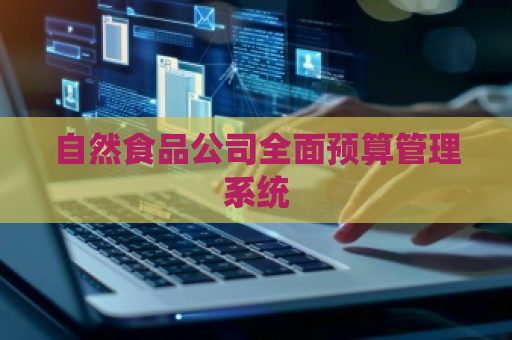 自然食品公司全面预算管理系统