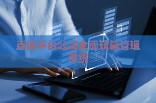 直播平台公司全面预算管理系统