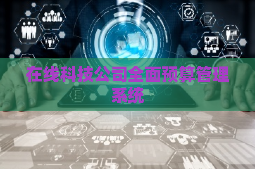 在线科技公司全面预算管理系统