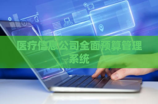 医疗信息公司全面预算管理系统
