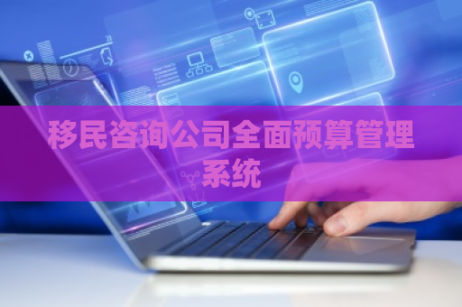 移民咨询公司全面预算管理系统