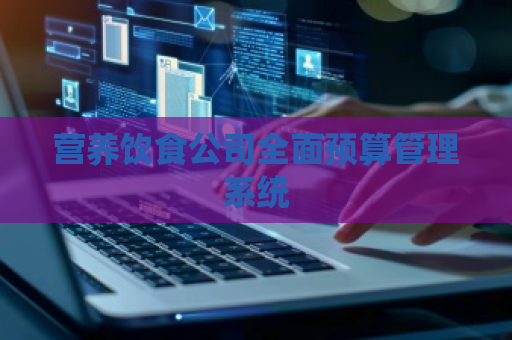 营养饮食公司全面预算管理系统
