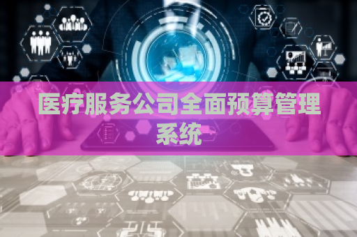 医疗服务公司全面预算管理系统