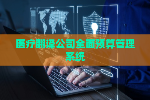 医疗翻译公司全面预算管理系统