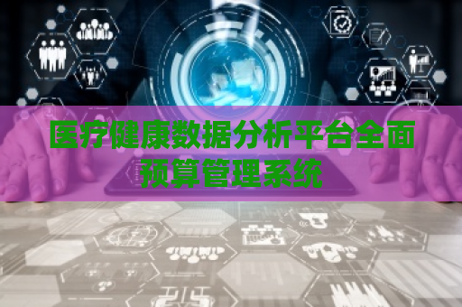 医疗健康数据分析平台全面预算管理系统