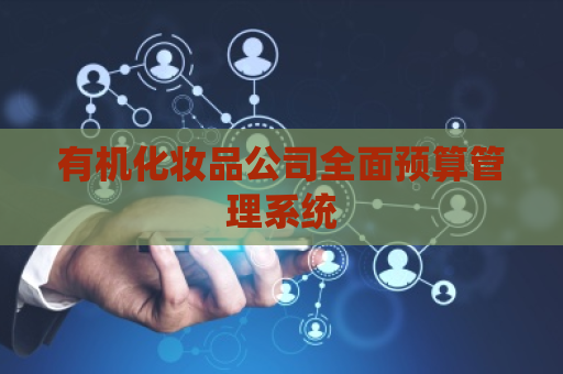 有机化妆品公司全面预算管理系统