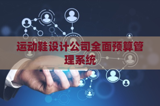 运动鞋设计公司全面预算管理系统