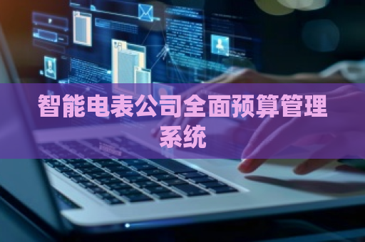 智能电表公司全面预算管理系统