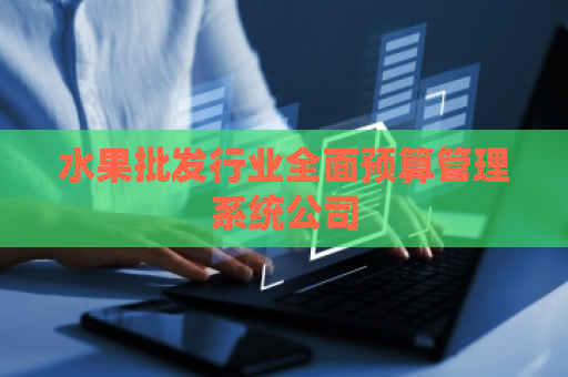 水果批发行业全面预算管理系统公司
