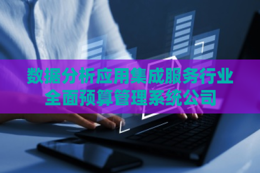 数据分析应用集成服务行业全面预算管理系统公司
