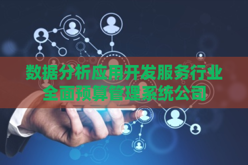 数据分析应用开发服务行业全面预算管理系统公司