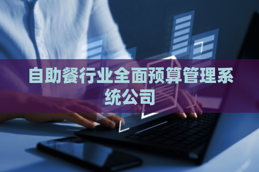 自助餐行业全面预算管理系统公司