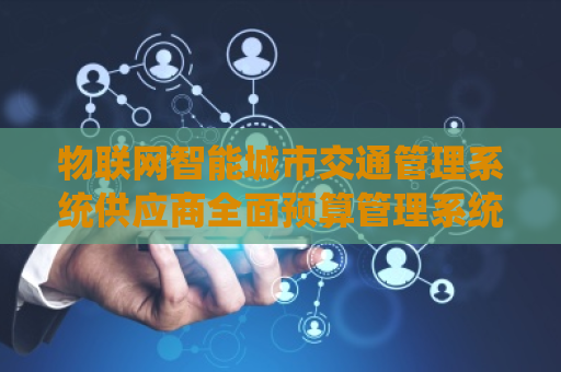 物联网智能城市交通管理系统供应商全面预算管理系统公司