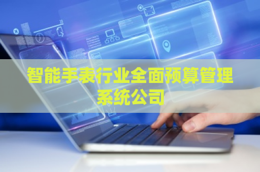 智能手表行业全面预算管理系统公司