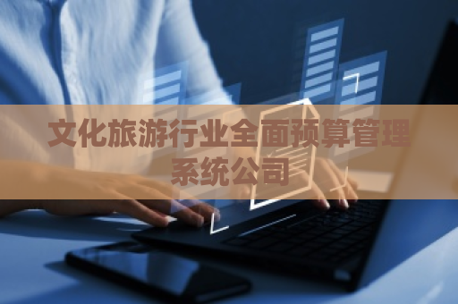 文化旅游行业全面预算管理系统公司