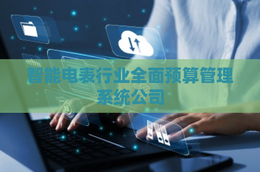 智能电表行业全面预算管理系统公司