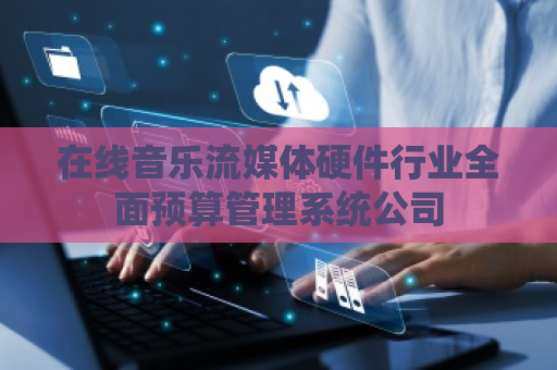 在线音乐流媒体硬件行业全面预算管理系统公司