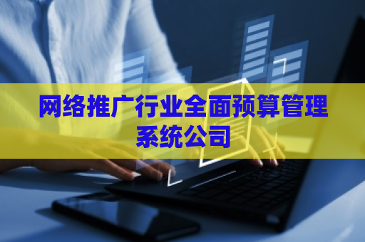 网络推广行业全面预算管理系统公司